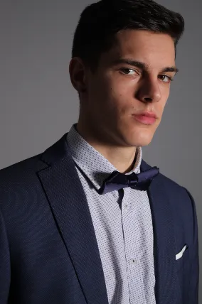 Portrait of a man in a blue suit and bow tie